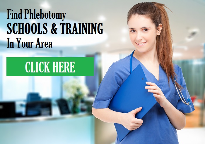 entry level phlebotomy jobs nyc